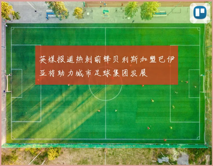 英媒报道热刺前锋贝利斯加盟巴伊亚将助力城市足球集团发展