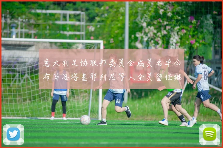 意大利足协联邦委员会成员名单公布马洛塔基耶利尼等人全员留任继续服务