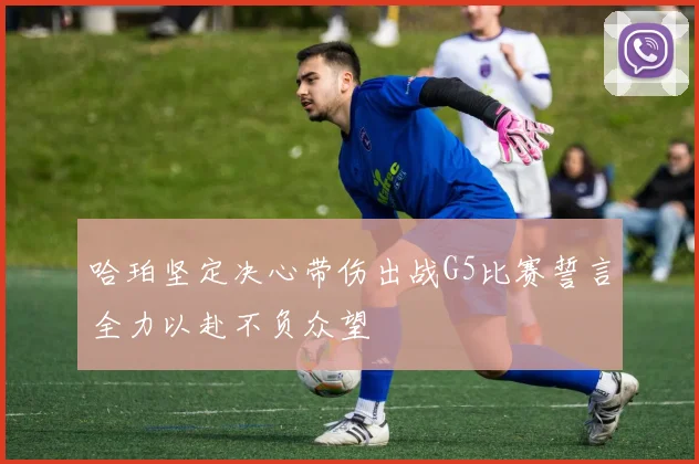 哈珀坚定决心带伤出战G5比赛誓言全力以赴不负众望